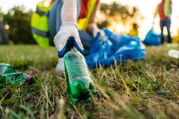 Best Carpet Removal and Disposal  in Auburn Hills, MI